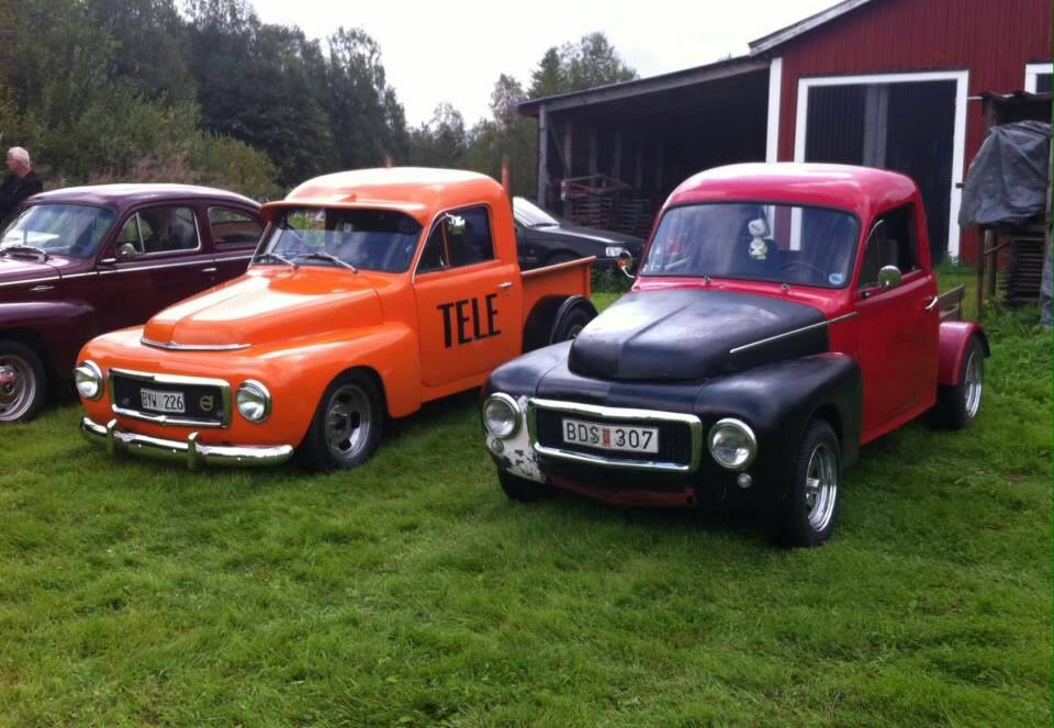 Gamla A-traktorer i olika färger på rad i gräset.