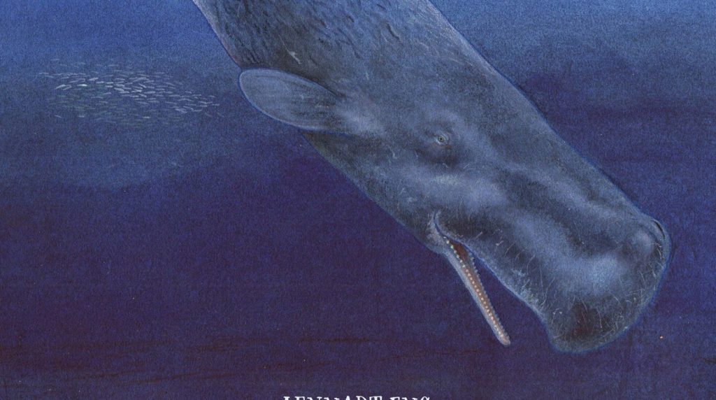 boktips: Kaskeloten världens största rovdjur