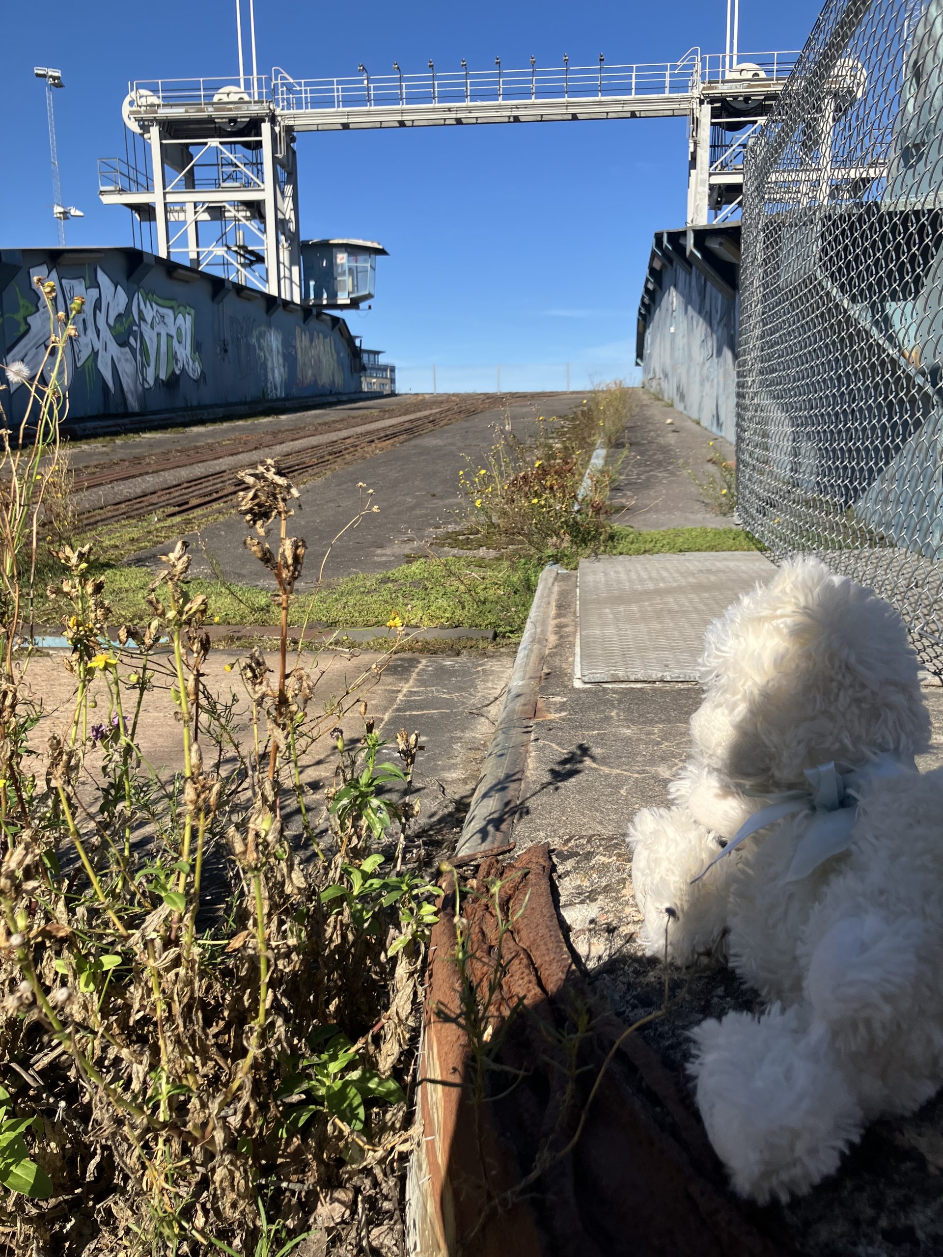 Vy över Färjeterminalen